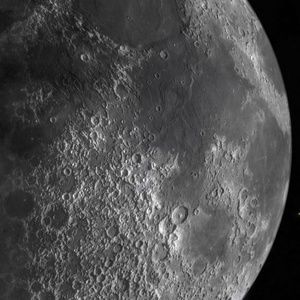 Meet your Posher, Olive